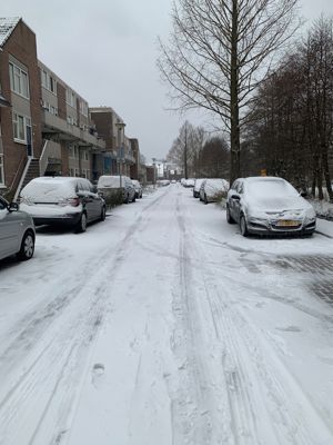 Foto 150 uit WinterIn Beverwaard
