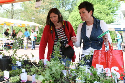 Foto 17 uit Tuin-Academie25-4_9