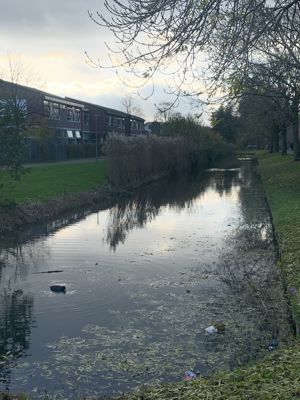 Foto 424 uit Rondje Beverwaard 2026