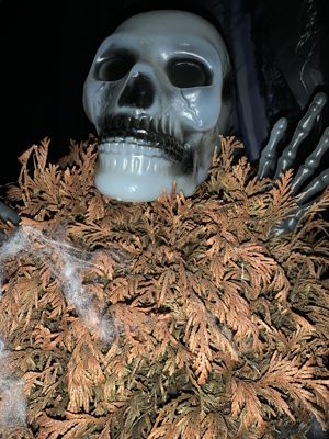 Foto 22 uit Halloween30-10-21