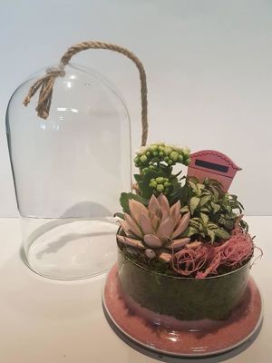 Foto 17 uit NeelyshaBloemen