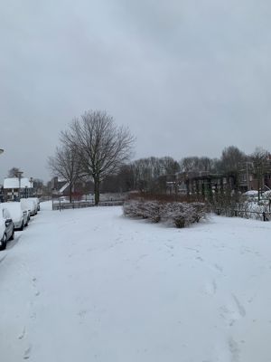 Foto 154 uit WinterIn Beverwaard