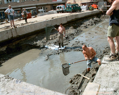 Foto 375 uit WcBeverwVerbouwing