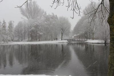 Foto 20 uit WinterIn Beverwaard_2