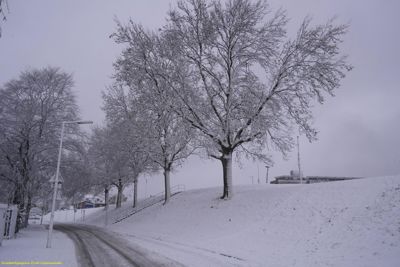 Foto 41 uit WinterIn Beverwaard_2