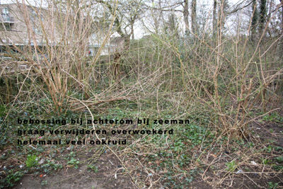 Foto 5 uit WinkelcentrumSchade