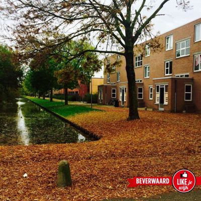 Foto 186 uit LIKEJEWIJK FOTO'S_3