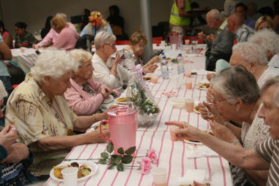 Foto 458 uit Ouderen4Daagse2016