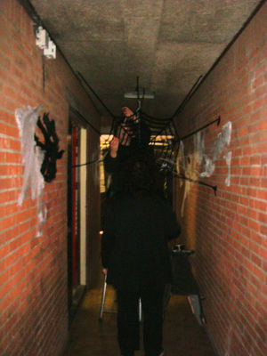 Foto 18 uit HalloweenWoonbron