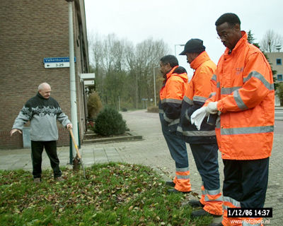 Foto 33 uit bloembollen planten