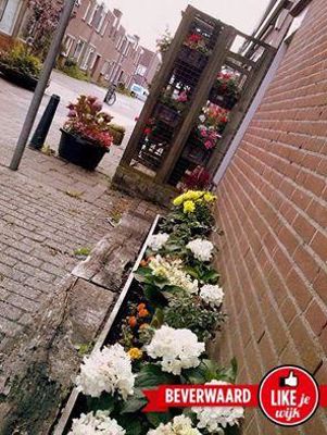 Foto 91 uit LIKEJEWIJK FOTO'S_2