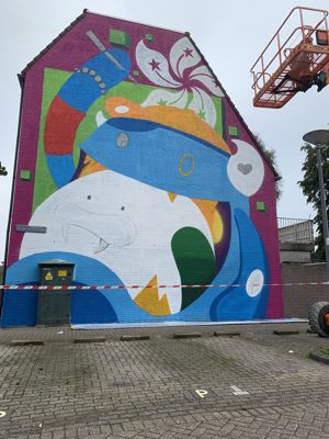 Foto 9 uit All Caps Muurschilderingen Beverwaard 2026