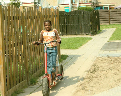 Foto 142 uit schoonmaakactie new