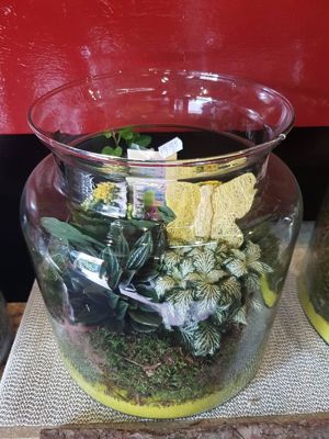 Foto 7 uit NeelyshaNieuweZaak