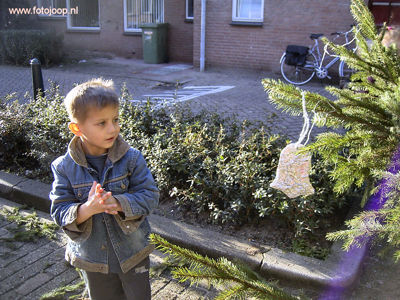 Foto 499 uit kerstdagen2005