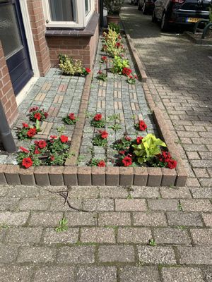 Foto 26 uit Rondje Beverwaard 2026