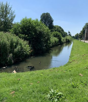 Foto 346 uit Rondje Beverwaard 2026