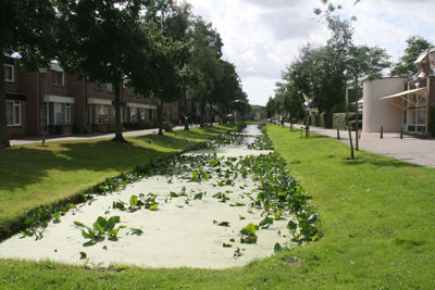 Foto 167 uit StratenBEVERWAARD