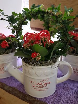 Foto 207 uit NeelyshaBloemen