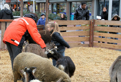 Foto 26 uit Sinterklaas 2009B.W