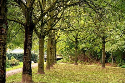 Foto 72 uit Herfst In Beverwaard