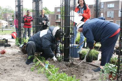 Foto 10 uit Tropische Buurttuin