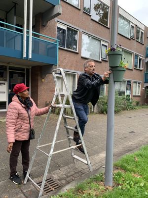 Foto 7 uit OpzoomerenPeeland