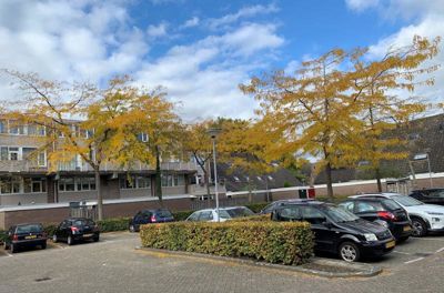 Foto 41 uit Herfst In Beverwaard