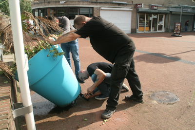 Foto 11 uit Grote-Bloem-Potten