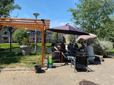 AlerdinksingelPlanten