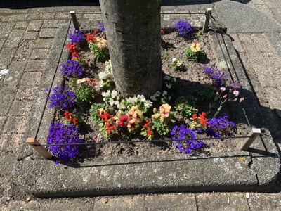 Foto 303 uit Rondje Beverwaard 2026