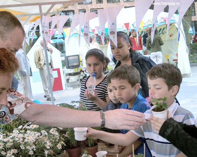 Foto 50 uit wijkfeest de dijk new