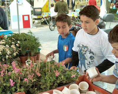 Foto 49 uit wijkfeest de dijk new