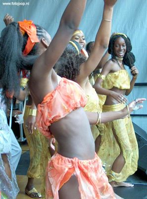 Foto 10 uit carnaval2008beverw