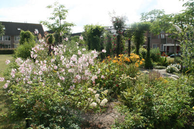 Foto 235 uit TropischeTuin 2017