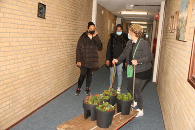 Foto 15 uit Plantjes Ijselburgh