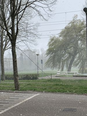 Foto 2 uit Sneeuw met Pasen