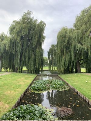 Foto 430 uit Rondje Beverwaard 2026