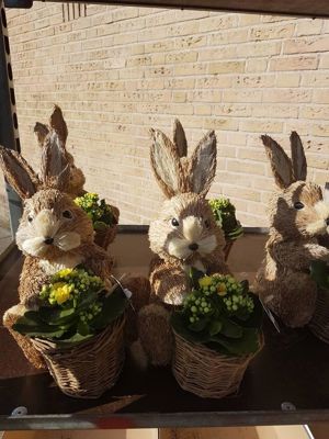 Foto 2 uit NeelyshaNieuweZaak