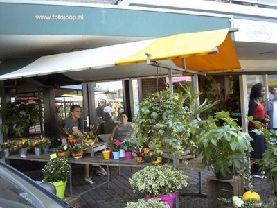 Foto 21 uit wijkparkfeest 2005