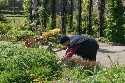 Foto 283 uit TropischeTuin 2017