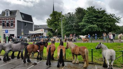 Foto 101 uit Paardenmarkt29-6