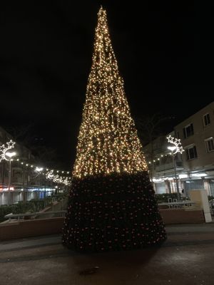 Foto 7 uit Grote Kerstboom WC