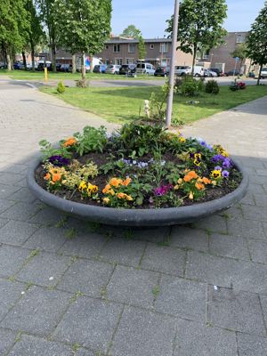 Foto 147 uit Rondje Beverwaard 2026