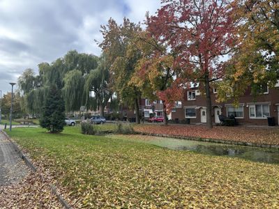 Foto 41 uit X-Herfst Verschillende jaren  2026