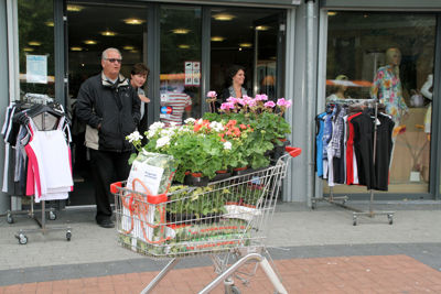 Foto 74 uit OpzoomerenPlantjes