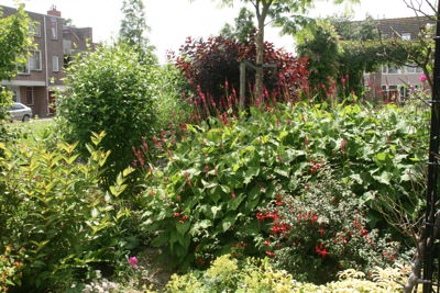 Foto 7 uit TropischeTuin9-7-16