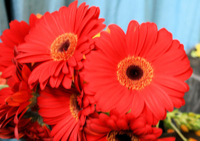 Foto 46 uit Rkregenboog25_3_09