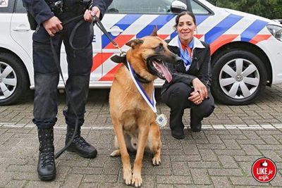 Foto 235 uit LIKEJEWIJK FOTO'S_2