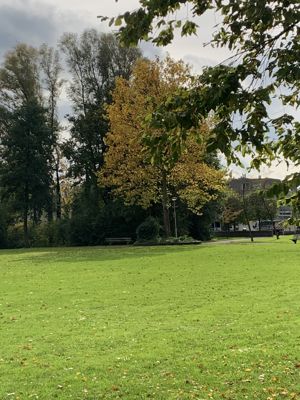 Foto 201 uit Herfst In Beverwaard